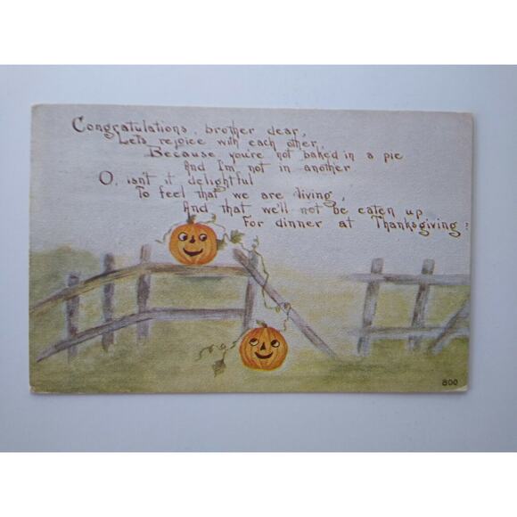 Halloween Thanksgiving Postcard Pumpkins Owen Serie 800 Original Norfolk VA 1911 - Picture 5 of 5